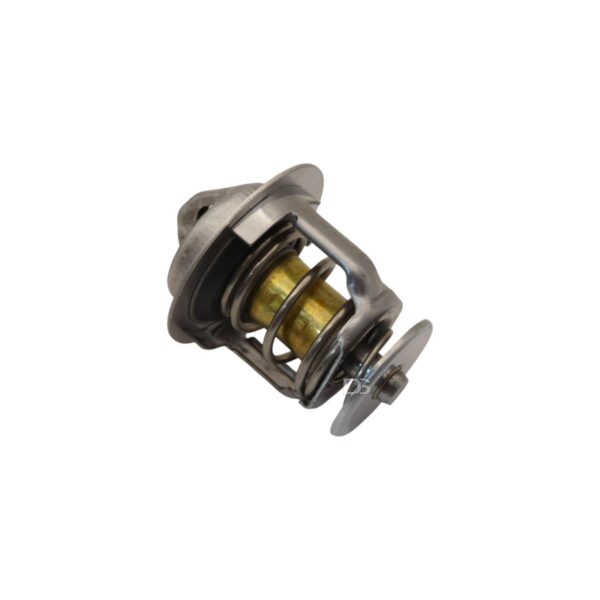 Thermostat - T13-0385 - DS Refrigeration